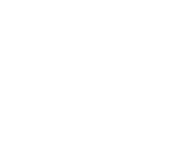 Pennsylvania Downtown Center
